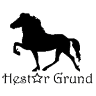 Hestar Grund - Der Islandpferdehof am Sülteberg - Inhaber Jósef Gudjónsson