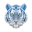 Hexa Tiger Web Design