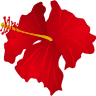 HIBISU伊丹