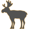 Hidden Moose Lodge