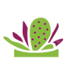 High Desert Pilates