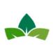 High Point Nursery