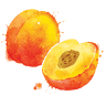 Hill Country Express | Farm Fresh Produce