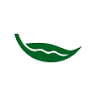 Hills Dental Group