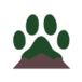 Hampshire Animal Hospital