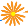 Hoa Bay