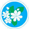 JASMINE IMPORT EXPORT COMPANY LIMITED
