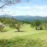 Hokigamine Forest Park