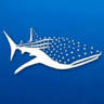 Holbox Whale Shark Tours