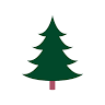 Holiday Hills Christmas Trees