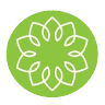Holistic Dental