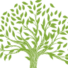 Homegrown Lawn Garden and Landscape