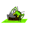 Home Protection Pest Control