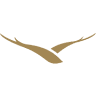 Falcon Custom Homes