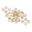 Honeybee Lash Co