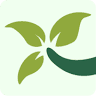 Hoover's Farm Market & Greenhouses