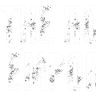 The Horam Emporium