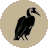 Hornbill Bush Lodge