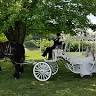 Horsing Round Carriage Service