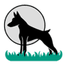 Space Animal Sumaré