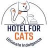 Hotel for Cats