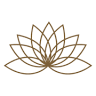 Hot Stone Massage Nicole Koch