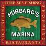 Hubbards Marina Dolphin Watching Tour
