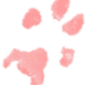 Hubbardston Veterinary Clinic