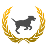 Hudson Valley Labradors