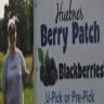 Huebner Berry Patch and Fruit Farm