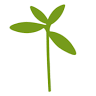 Agrolife Horts d'Autoconsum Picassent