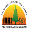 Hughes Dry Professional Carpet Care