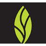 MINT dentistry | Humble