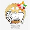 Hume Region Scouts