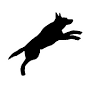 Hundeschule Botz Ein Team für alle Fälle