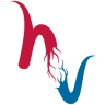 Hunter Vascular