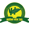 Trà Hương Vân Thái Nguyên - Trà Ngon uy tín chất lượng tại Thái Nguyên