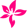 Hyderabad Wedding Decorators - Wedding Planners, Reception Decoration, Birthday Party Planners In Hyderabad