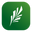 Hygea