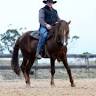 Ian Leighton Horsemanship