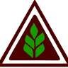 IAUSA