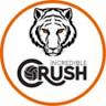 Incredible Crush Volleyball Rockwall