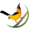 Icterus Ecoturismo e Expedições