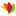 Curacao Phoenix