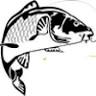 Ideea Fishing
