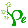 IESTP DE PISCOBAMBA