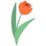 I Fiori di Marzio
