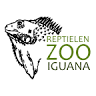 Iguana reptile Zoo