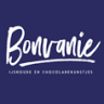 Atelier Bonvanie Wierden