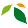 Boomerang